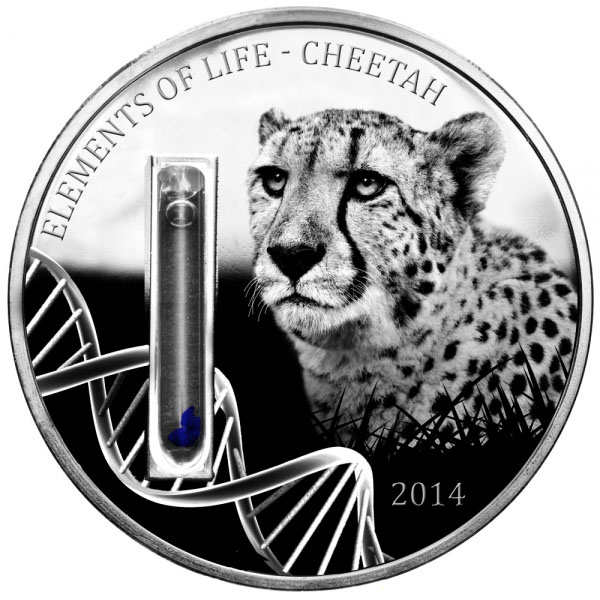 2014 Cheetah DNA Congo
