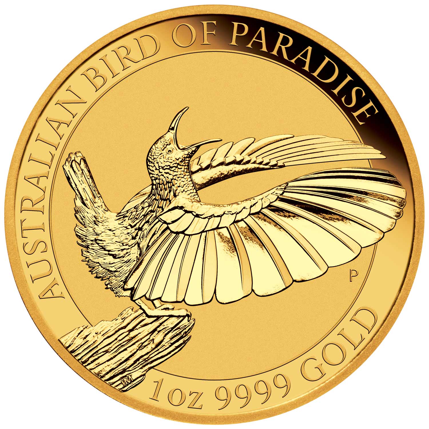 Details about   2018 Australian VICTORIA'S RIFLEBIRD Bird of Paradise BU coin .9999 fine silver 