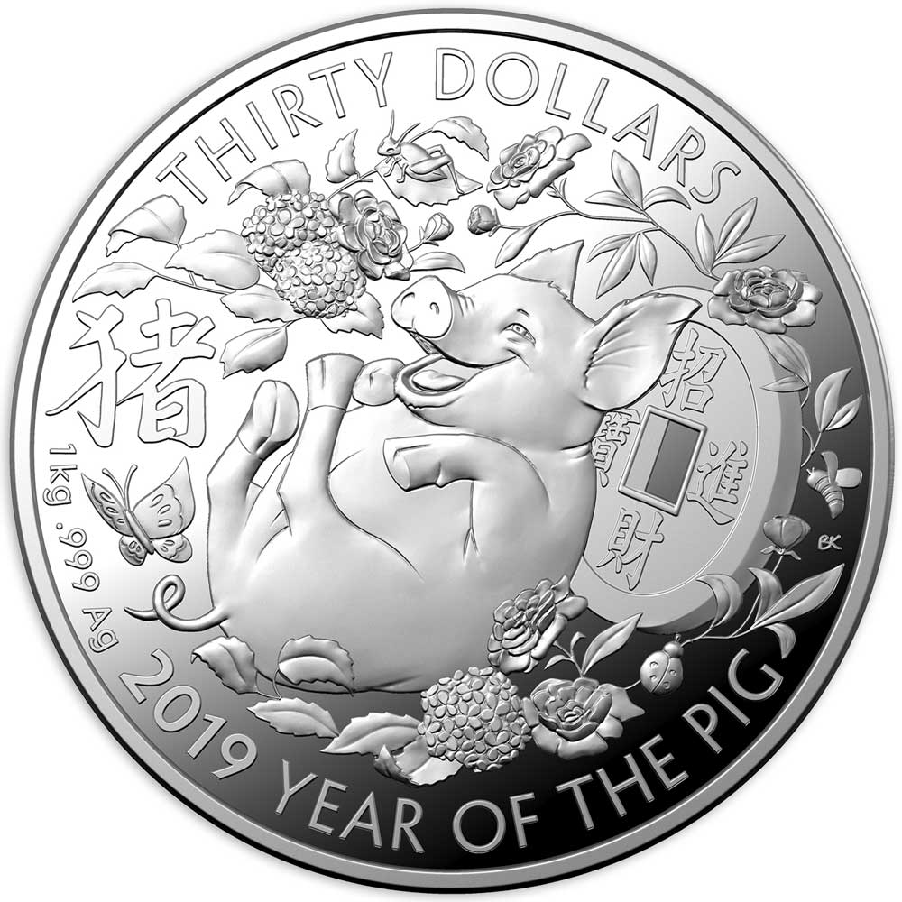 The year of the pig silver chinese zodiac 2019 anniversary coins souvenir coinRI 