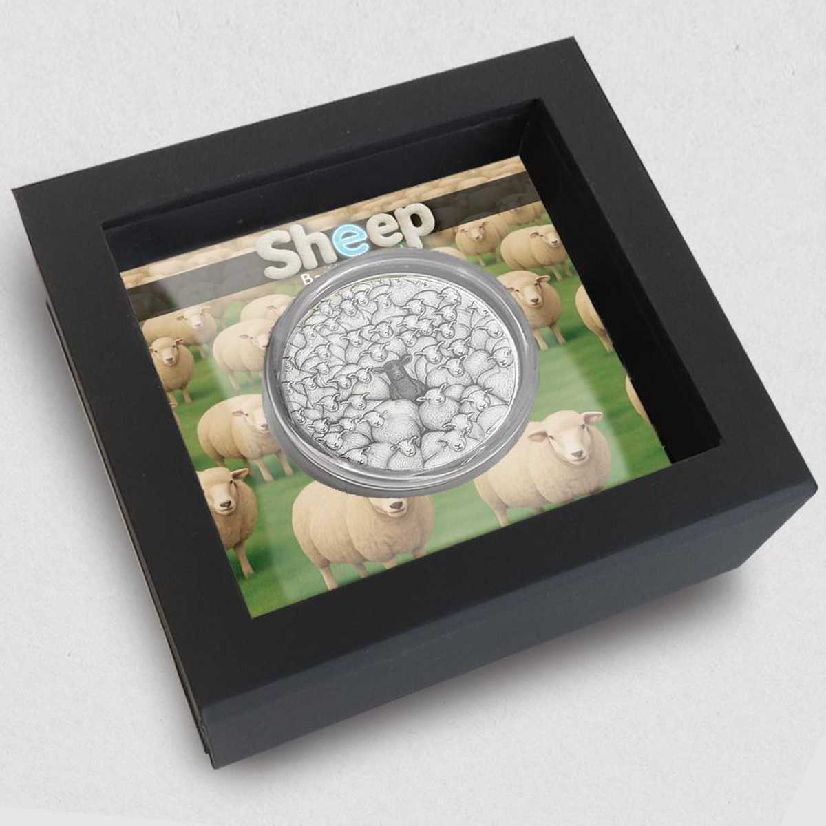 2025 POW B Different Sheep BOX