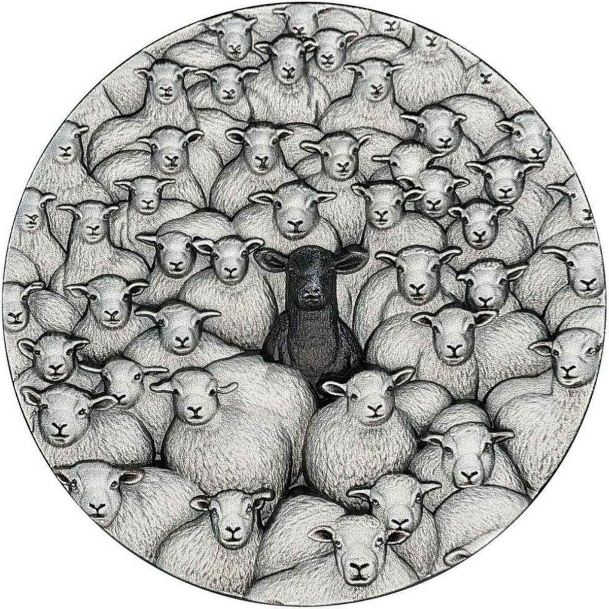 2025 POW B Different Sheep REV