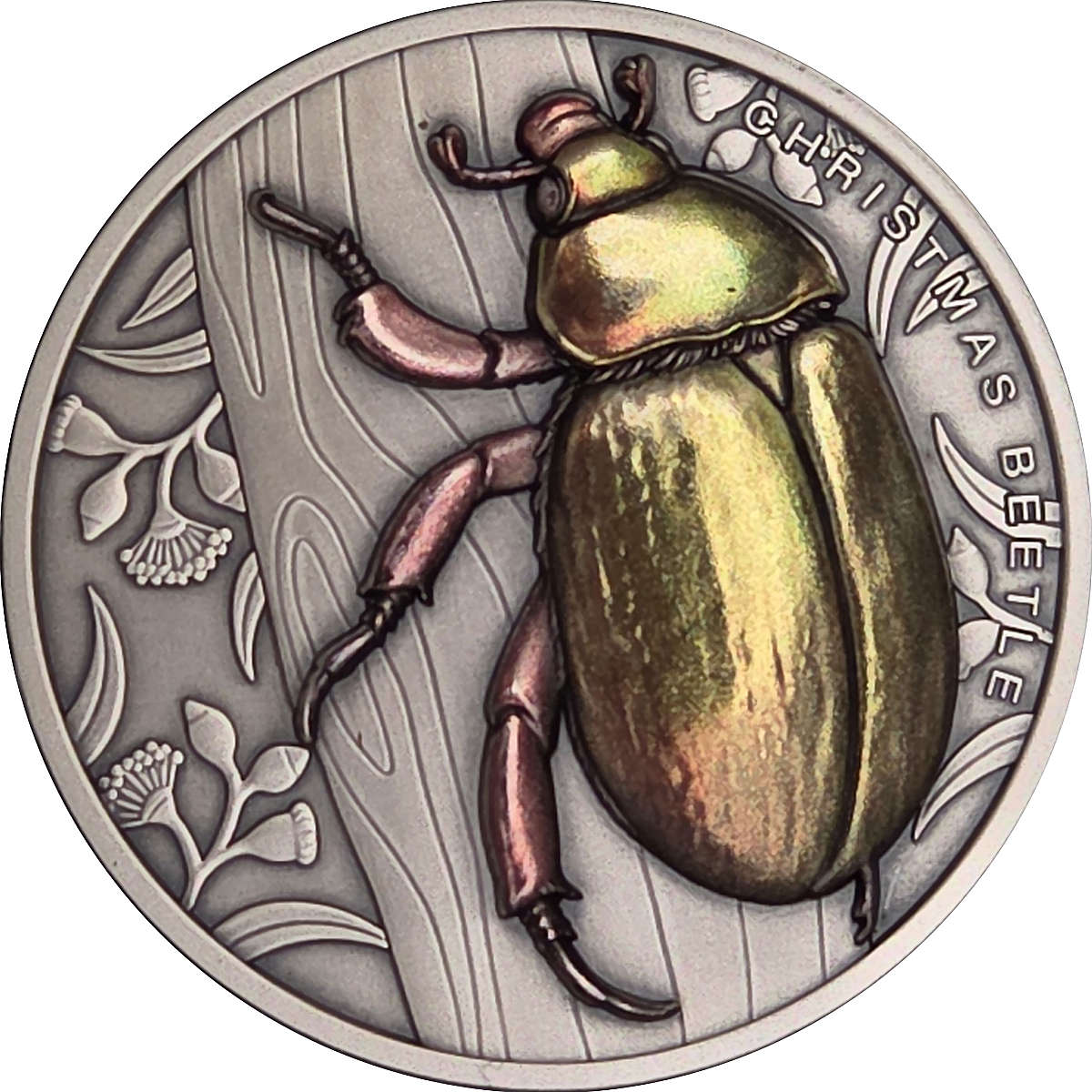 2027 MEL Christmas Beetle REV